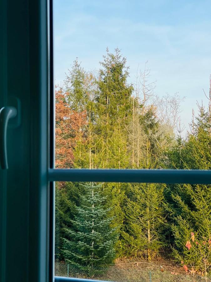 Apartment "Le Briand" Charming Base For Your Sightseeing In Touraine Noizay Esterno foto